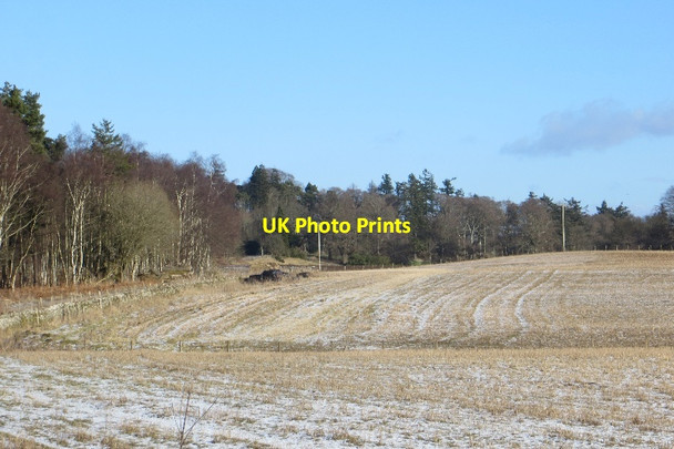 Photo 6"x4" Fields beside the old A9 Aberdalgie c2015