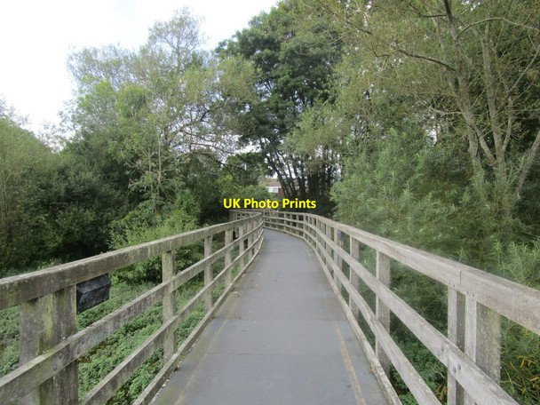 Photo 6"x4" Footbridge over the North Pond Bishop's Waltham c2014