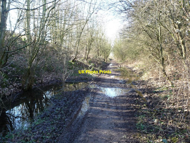 Photo 6"x4" Former railway line, west of the Doncaster Road, Upton North Elmsall c2015