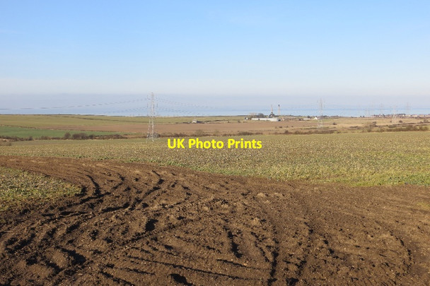 Photo 6"x4" Oilseed rape, Elphinstone Tranent c2015