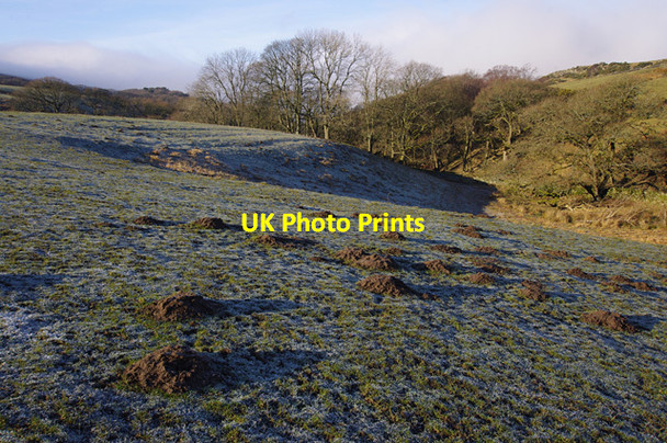 Photo 6"x4" Rough grazing, Littledale Crossgill\/SD5562 c2015
