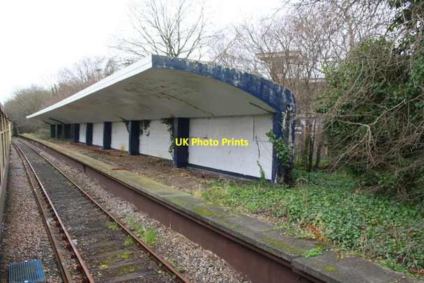 Photo 6"x4" Disused platform at Chessington South Station Barwell\/TQ1763 c2015