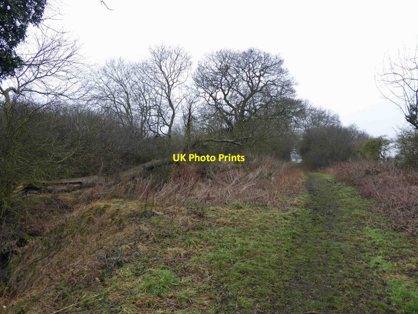 Photo 6"x4" The Old Street (Ebor Way) Catterton c2015