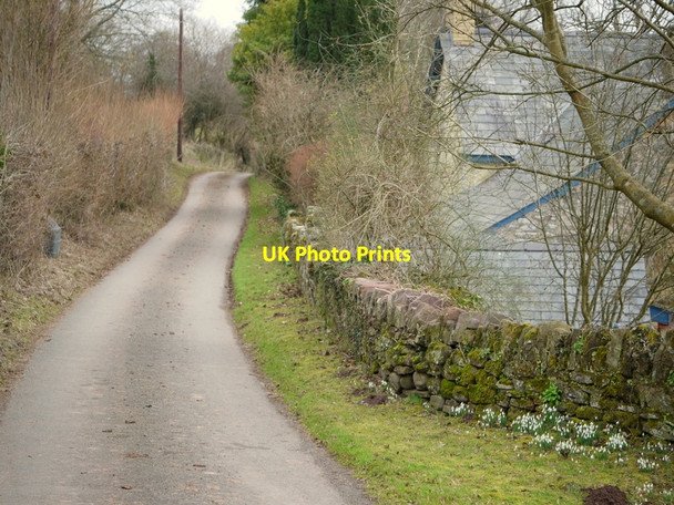 Photo 6"x4" Lane at Gliffaes-fach Coed-yr-ynys c2015