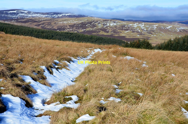 Photo 6"x4" Rough path crossing Mountbenger Law Mountbengerburn c2015