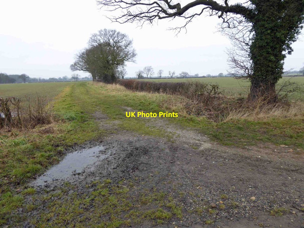 Photo 6"x4" Bridleway off The Old Street Street Houses\/SE5245 c2015