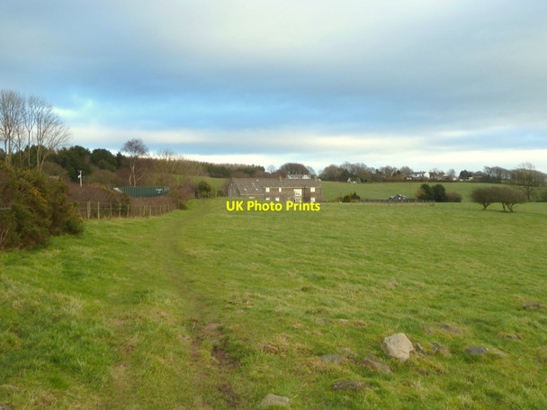 Photo 6"x4" Path to Whittlefold from Hunters Hill Delph Quarry High Moor\/SD5011 c2015