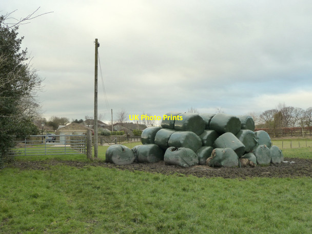 Photo 6"x4" Path at Whittlefold, Wrightington High Moor\/SD5011 c2015