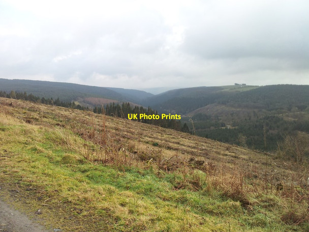 Photo 6"x4" View down the Gorlech Valley Rhydcymerau c2012