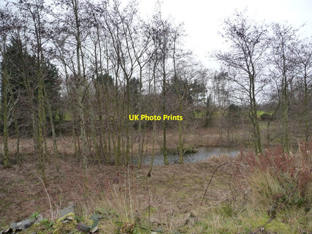 Photo 6"x4" The Wells o' Wearie Edinburgh c2015