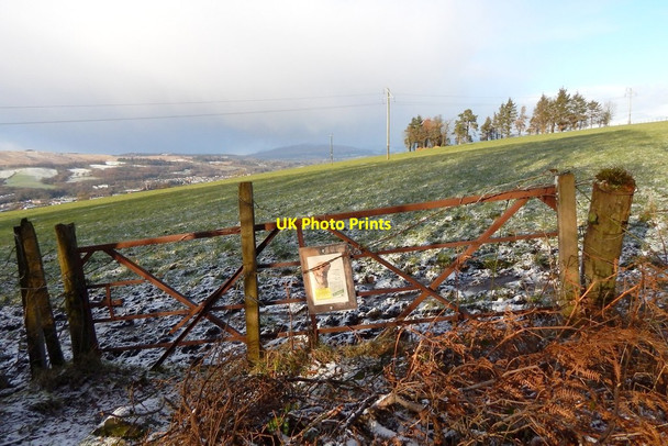 Photo 6"x4" Field gate Alexandria c2015