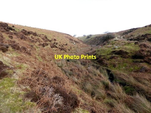 Photo 6"x4" The valley of Howden Burn Melkridge c2015