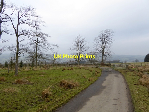 Photo 6"x4" The road to Allensgreen Farm Henshaw\/NY7664 c2015