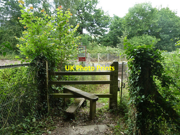 Photo 6"x4" Tolls foot crossing, Bough Beech Bough Beech c2011
