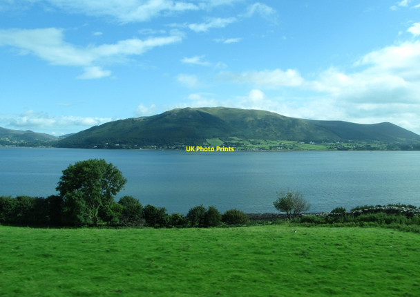 Photo 6"x4" Land steeply descending between the R173 and the former track of the Dundalk, Newry and Greenore Railway  Carlingford c2012
