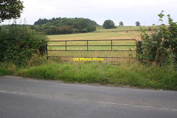 Photo 6"x4" Gateway to field south of Mile House Farm Firby\/SE2686 c2014