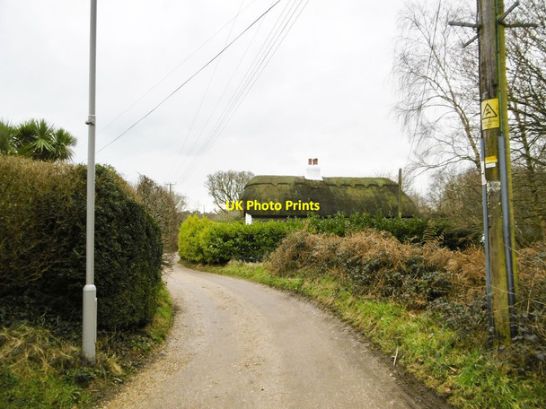 Photo 6"x4" St. Catherine's Hill, Little Oaks Cottage Christchurch\/SZ1592 c2015