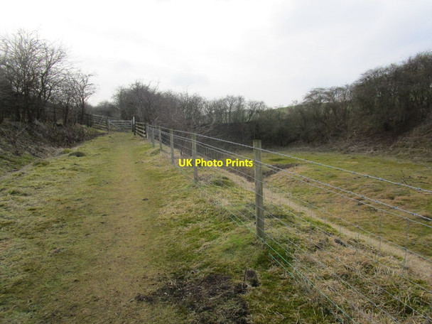 Photo 6"x4" Track out of Kiplingcotes Chalk Pit Goodmanham c2015