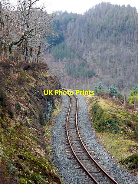 Photo 6"x4" The Vale of Rheidol Railway running through Coed Rheidol Devil's Bridge\/Pontarfynach c2015