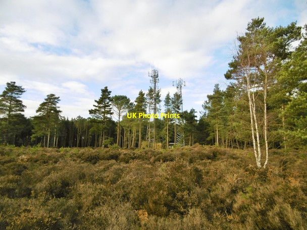 Photo 6"x4" St. Catherine's Hill, masts St Catherine's Hill\/SZ1495 c2015