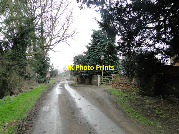 Photo 6"x4" Backwood Lane past Howe Hall Howe\/TM2799 c2015