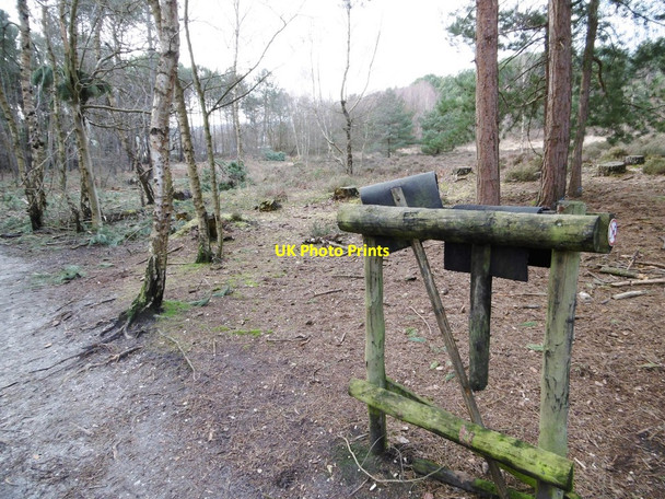 Photo 6"x4" St. Catherine's Hill, fire beaters St Catherine's Hill\/SZ1495 c2015