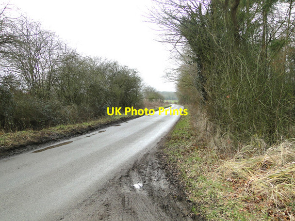 Photo 6"x4" Road south of Brooke Wood Howe\/TM2799 c2015
