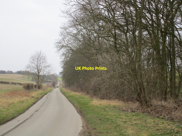 Photo 6"x4" Beverley Road North Newbald c2015