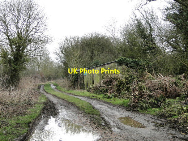 Photo 6"x4" Derelict shed in Green Lane, Woodton Kirstead Green c2015