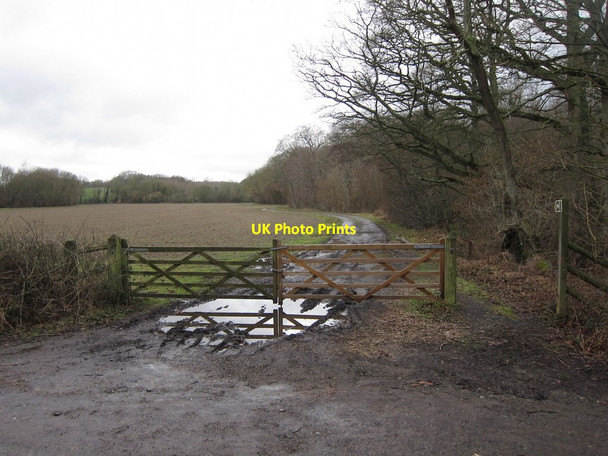 Photo 6"x4" Field by Halden Lane Parkgate\/TQ8534 c2015