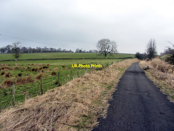Photo 6"x4" South Tyne Trail east of Park Village Park Village\/NY6861 c2015