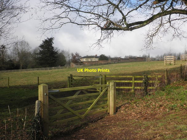 Photo 6"x4" View towards Leversdown House West Newton\/ST2829 c2015