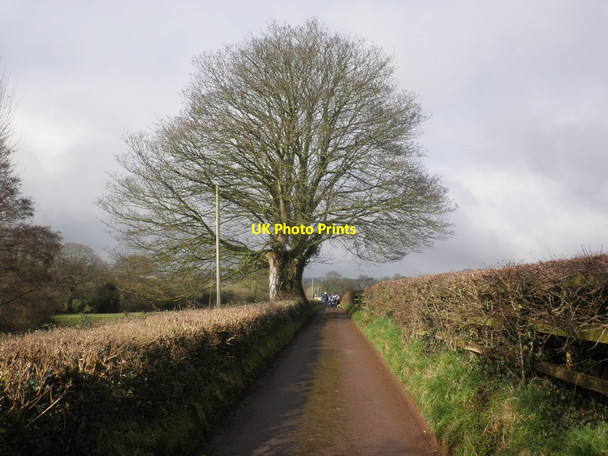 Photo 6"x4" Driveway, Leversdown House West Newton\/ST2829 c2015