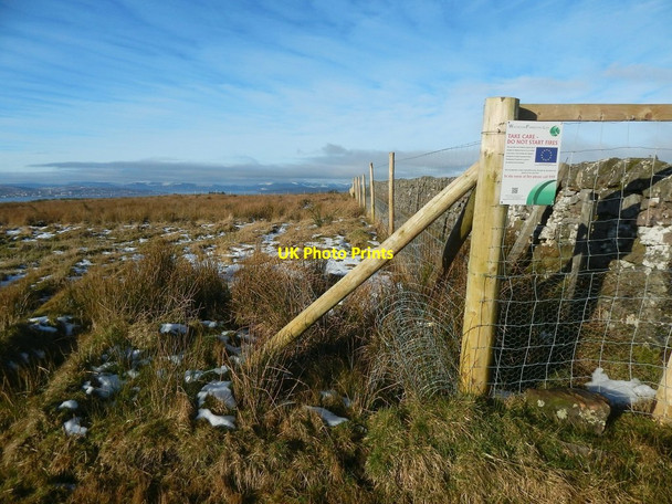Photo 6"x4" New deer fence Ardoch\/NS3676 c2015