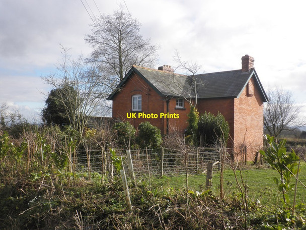 Photo 6"x4" House at Knapper's Barton Clavelshay c2015