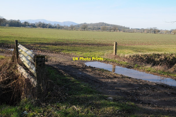 Photo 6"x4" Farmland bridge Birch Green\/SO8545 c2015