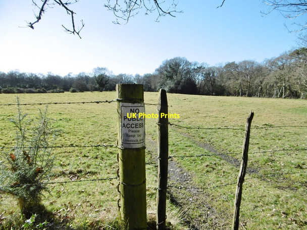 Photo 6"x4" Hurn, grazing land Grange Estate c2015