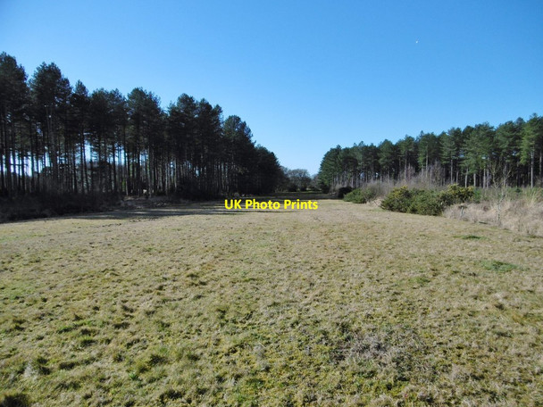 Photo 6"x4" Hurn Forest, Watermain Road Grange Estate c2015