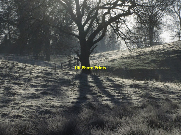 Photo 6"x4" Frosty morning, Hare Hill NT, Over Alderley Greendale\/SJ8877 c2014