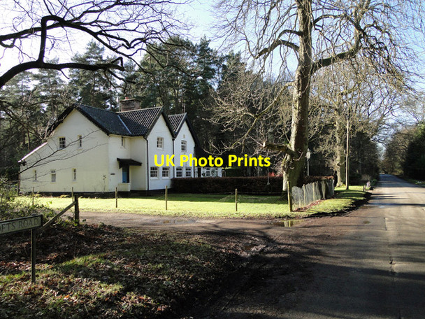 Photo 6"x4" Semi-detached by West Tofts Road West Tofts\/TL8392 c2015