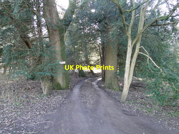 Photo 6"x4" Keep Clear, the rear entrance Ickburgh c2015