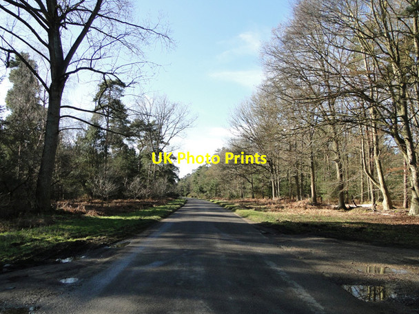 Photo 6"x4" Road through West Tofts Heath West Tofts\/TL8392 c2015