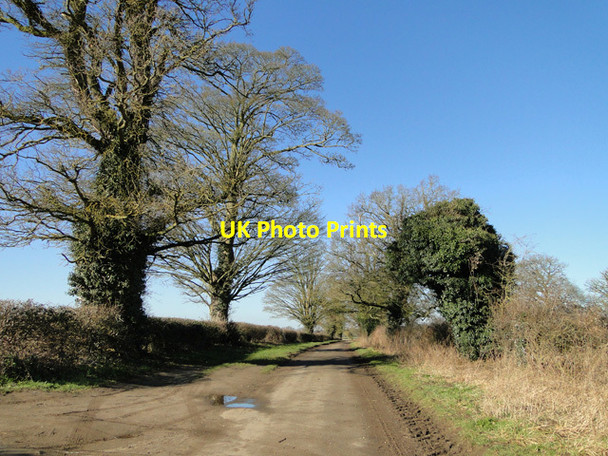 Photo 6"x4" Tottington Road, Thompson Pockthorpe\/TL9196 c2015