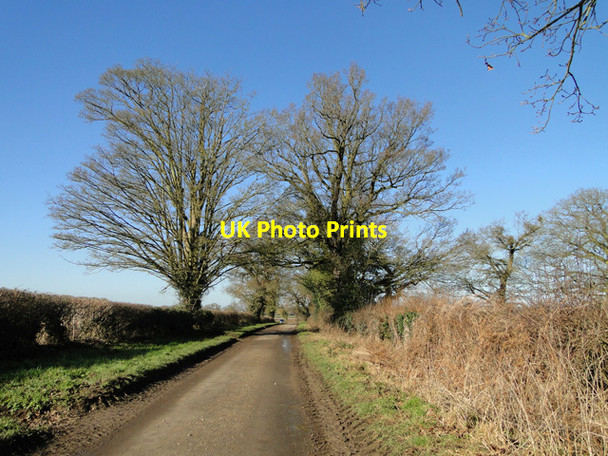 Photo 6"x4" Tottington Road, Thompson Pockthorpe\/TL9196 c2015 P1