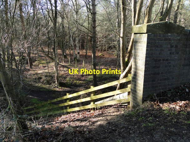 Photo 6"x4" Disused railway bridge on Holkham Heath Stonebridge\/TL9290 c2015 P3
