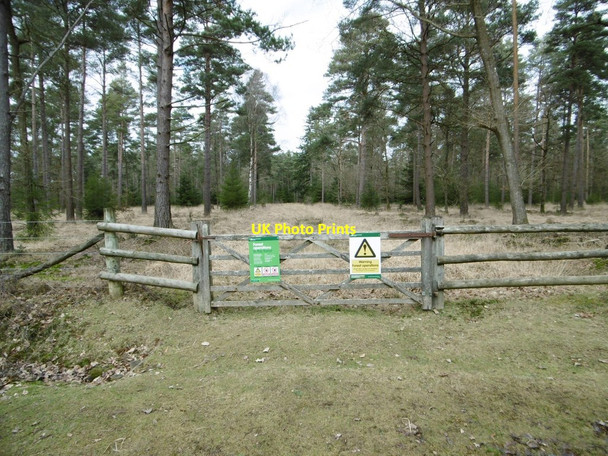 Photo 6"x4" Pignal Inclosure, gate Balmerlawn c2015