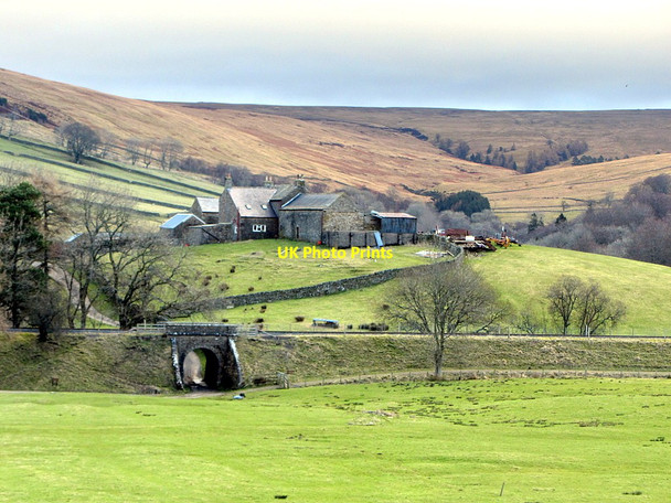 Photo 6"x4" Lintley Farm Slaggyford c2015