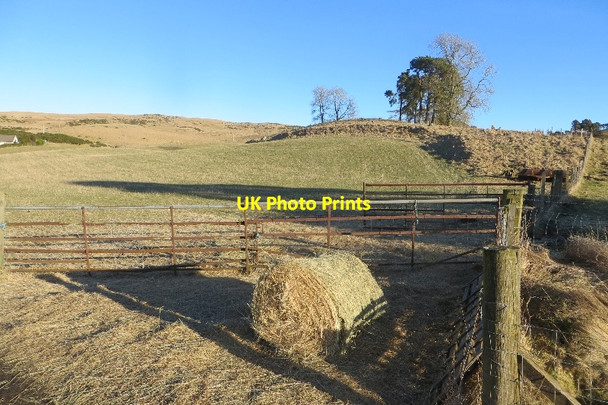 Photo 6"x4" Round bale, Whitemyre Rait c2015
