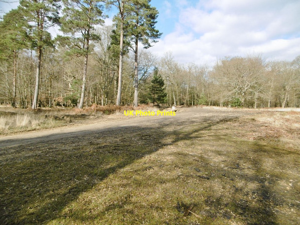 Photo 6"x4" Pignal Inclosure, forestry road junction Balmerlawn c2015