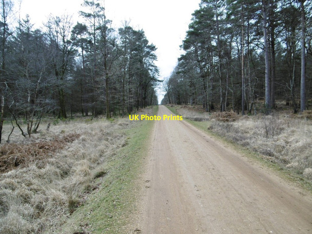 Photo 6"x4" Parkhill Inclosure, cycle route Balmerlawn c2015